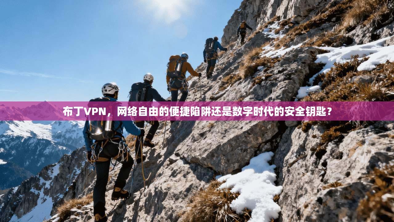 布丁VPN，网络自由的便捷陷阱还是数字时代的安全钥匙？