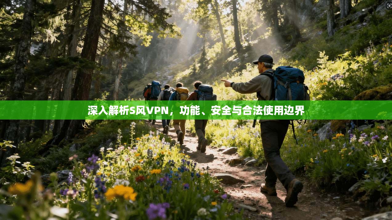 深入解析S风VPN，功能、安全与合法使用边界