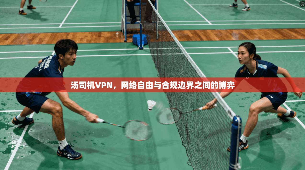 汤司机VPN，网络自由与合规边界之间的博弈