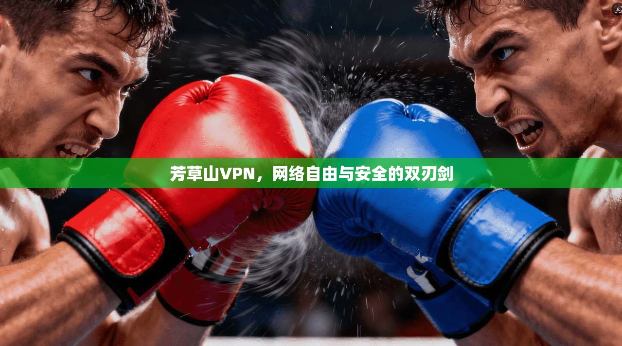 芳草山VPN，网络自由与安全的双刃剑