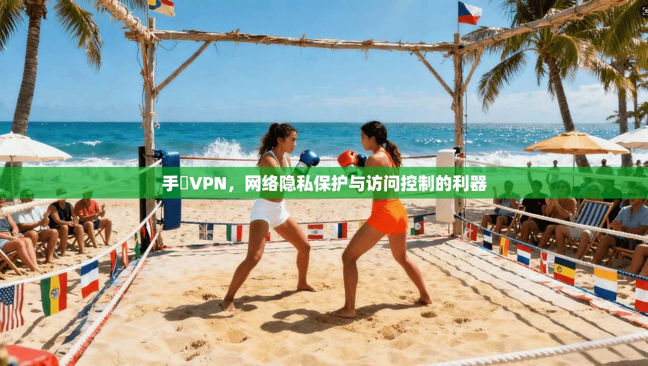 手檆VPN，网络隐私保护与访问控制的利器