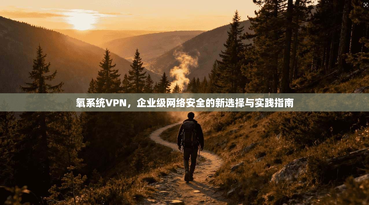 氧系统VPN,企业级网络安全的新选择与实践指南