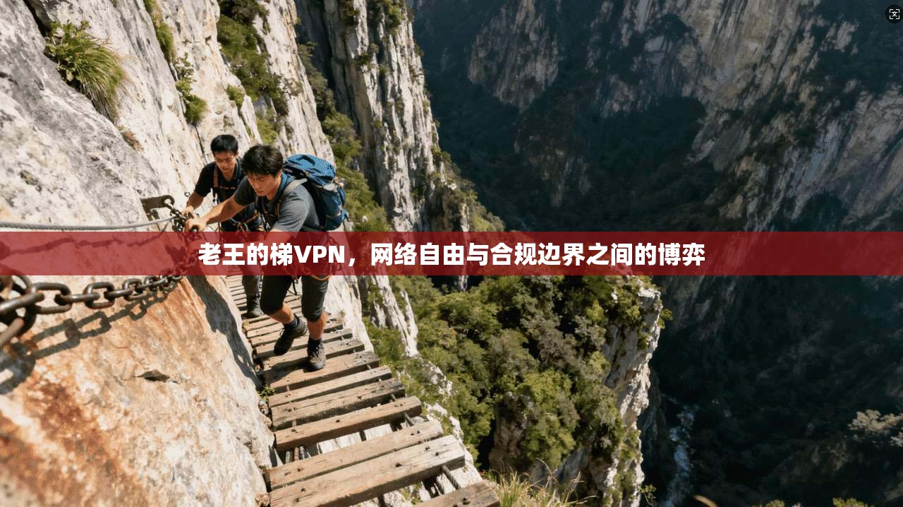 老王的梯VPN，网络自由与合规边界之间的博弈