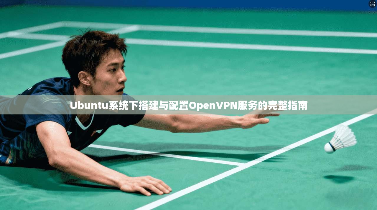 Ubuntu系统下搭建与配置OpenVPN服务的完整指南