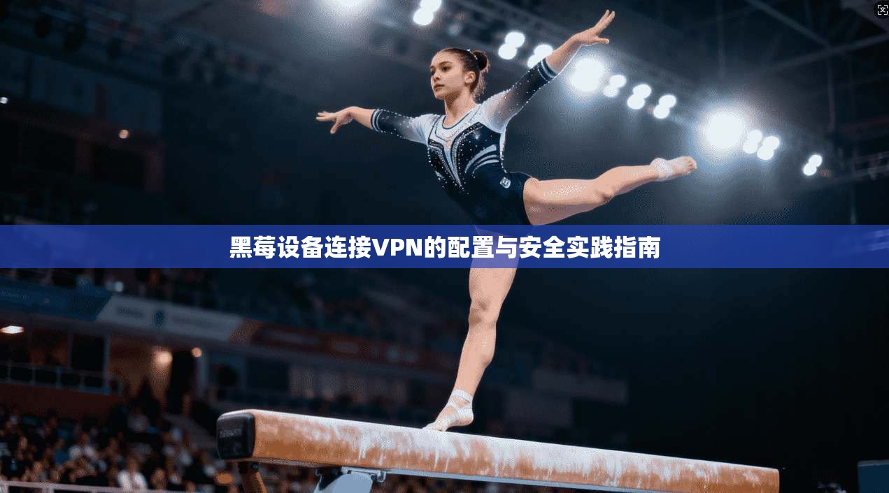 黑莓设备连接VPN的配置与安全实践指南
