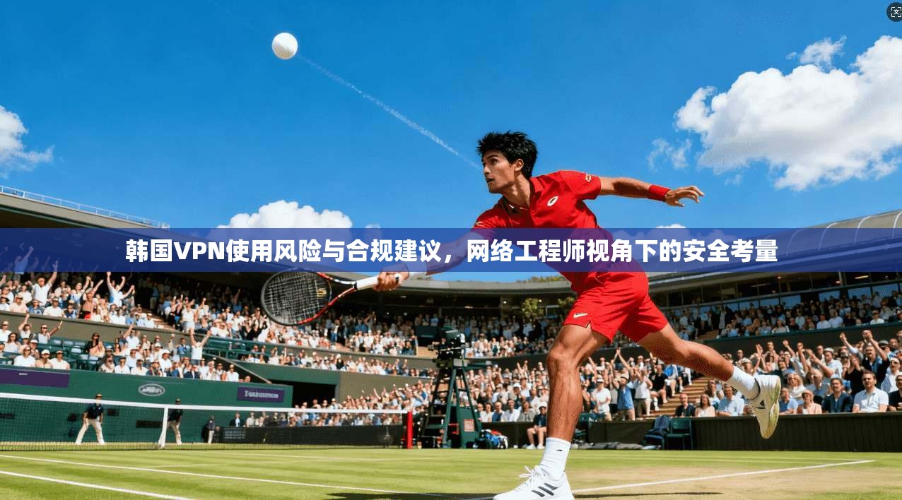 韩国VPN使用风险与合规建议，网络工程师视角下的安全考量