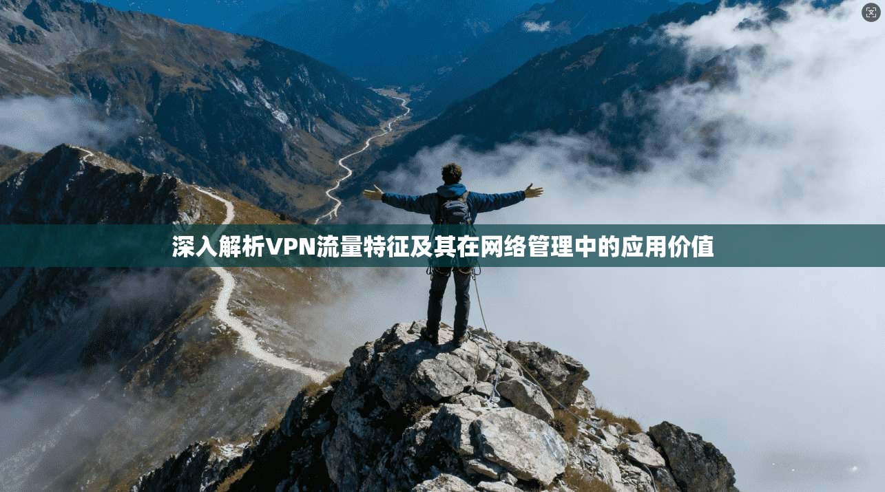 深入解析VPN流量特征及其在网络管理中的应用价值