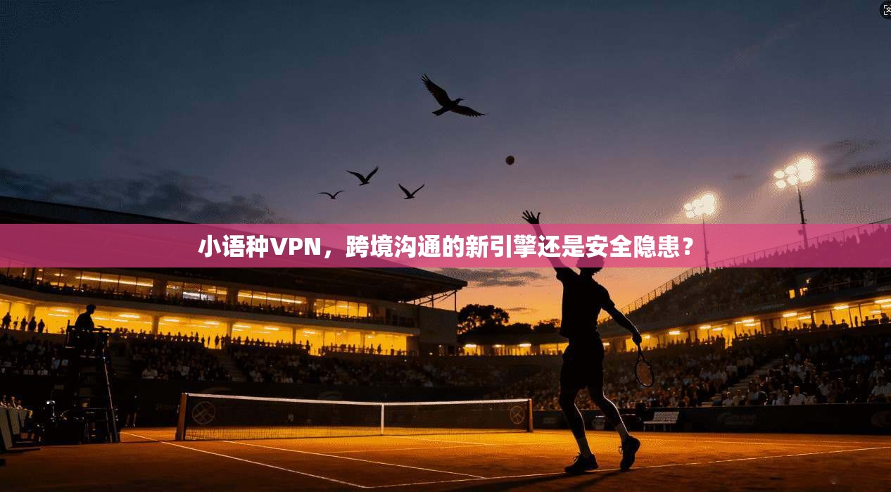 小语种VPN，跨境沟通的新引擎还是安全隐患？