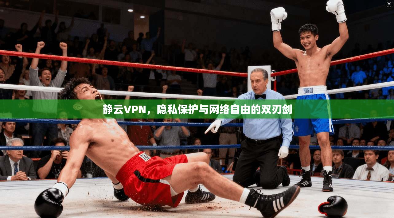 静云VPN,隐私保护与网络自由的双刃剑