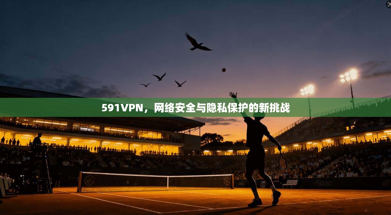 591VPN，网络安全与隐私保护的新挑战