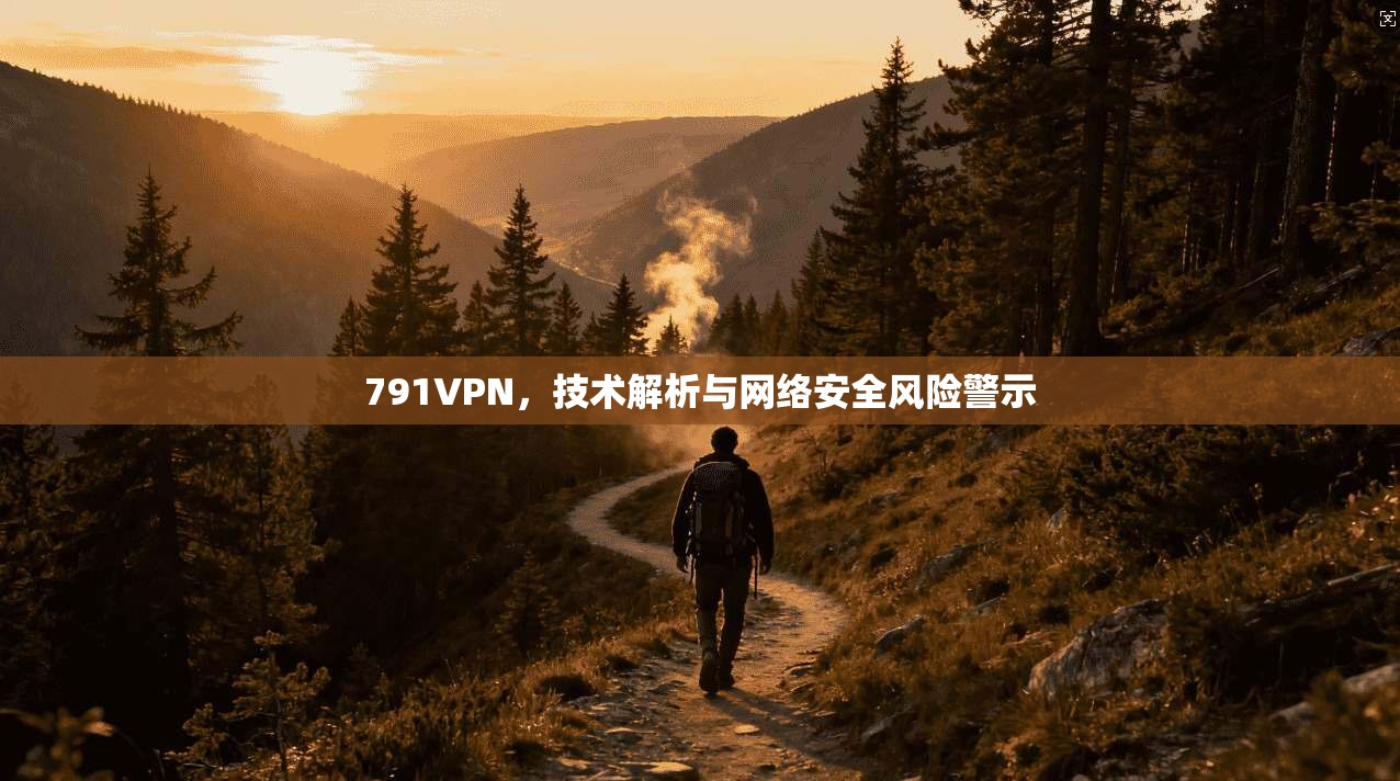 791VPN，技术解析与网络安全风险警示