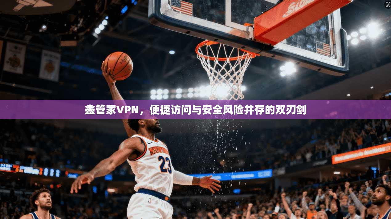 鑫管家VPN，便捷访问与安全风险并存的双刃剑