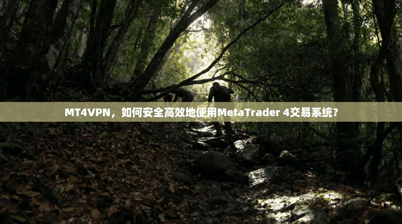 MT4VPN，如何安全高效地使用MetaTrader 4交易系统？