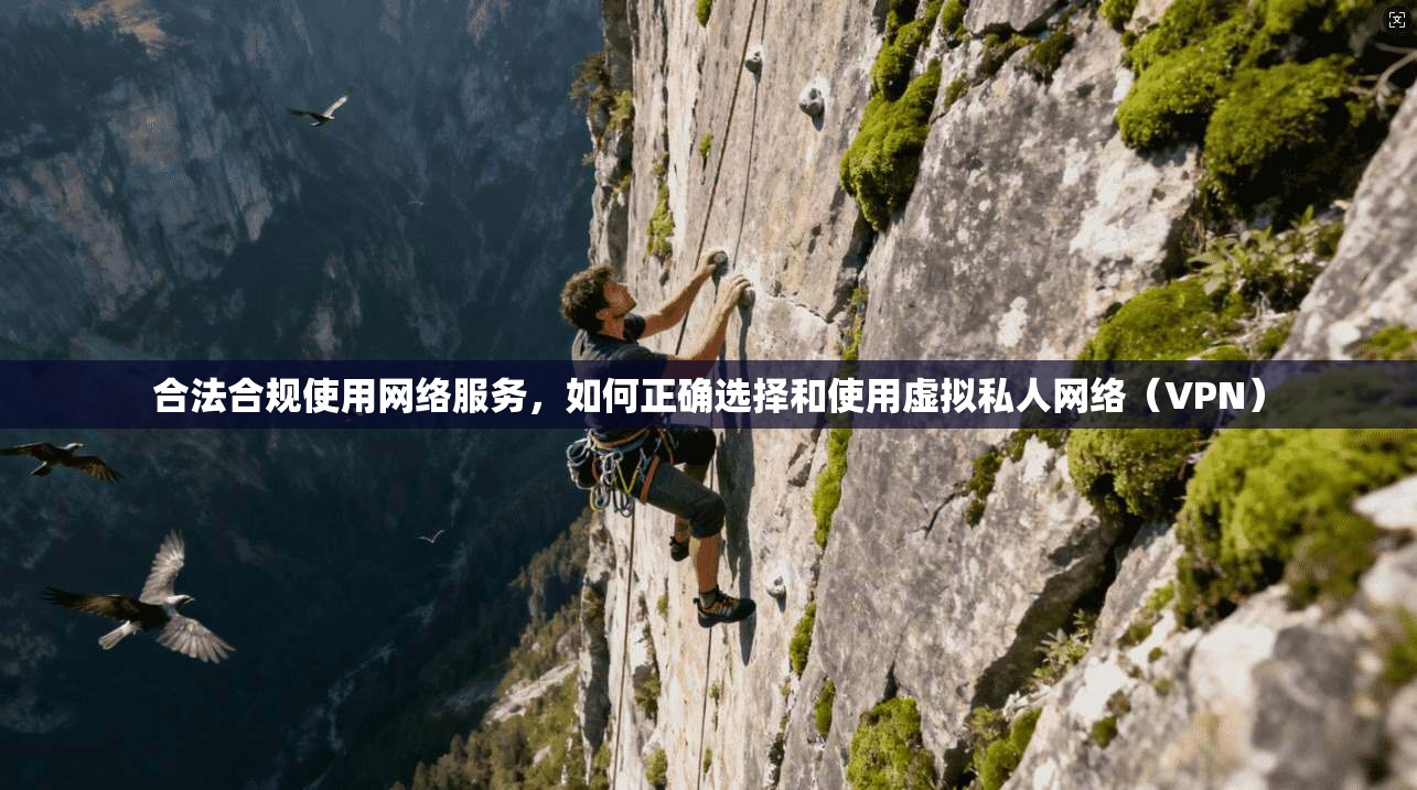 合法合规使用网络服务，如何正确选择和使用虚拟私人网络（VPN）