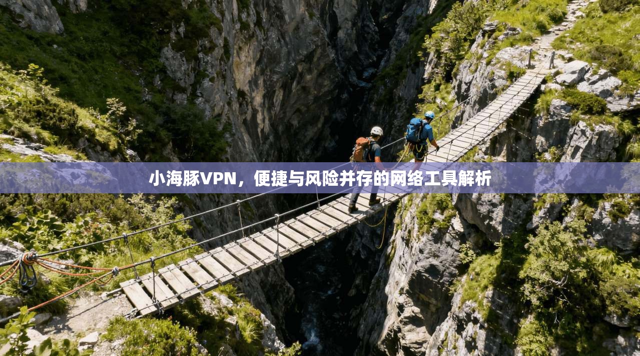 小海豚VPN，便捷与风险并存的网络工具解析