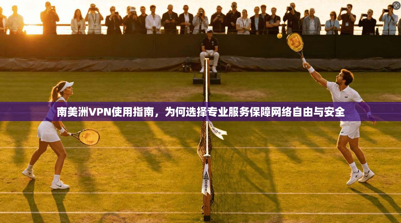 南美洲VPN使用指南，为何选择专业服务保障网络自由与安全