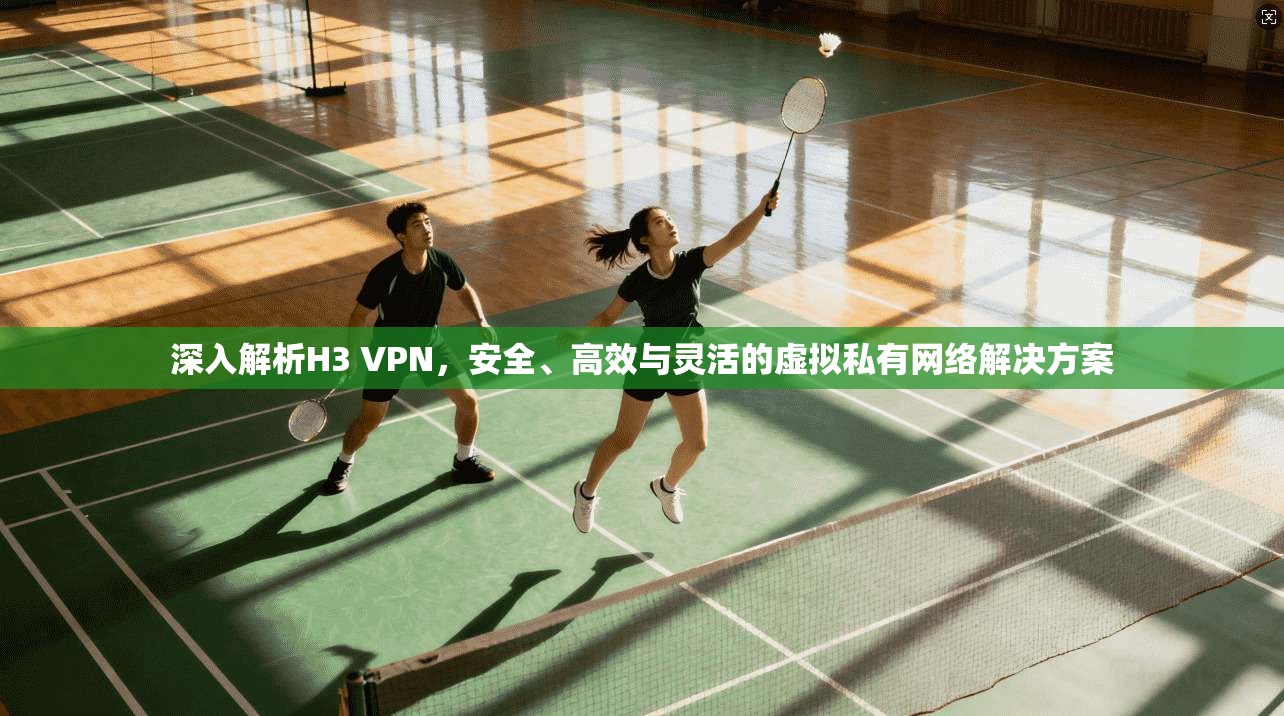 深入解析H3 VPN，安全、高效与灵活的虚拟私有网络解决方案