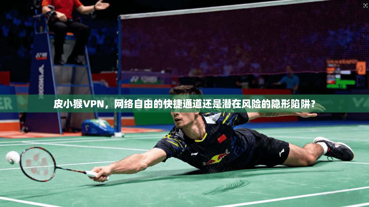 皮小猴VPN，网络自由的快捷通道还是潜在风险的隐形陷阱？