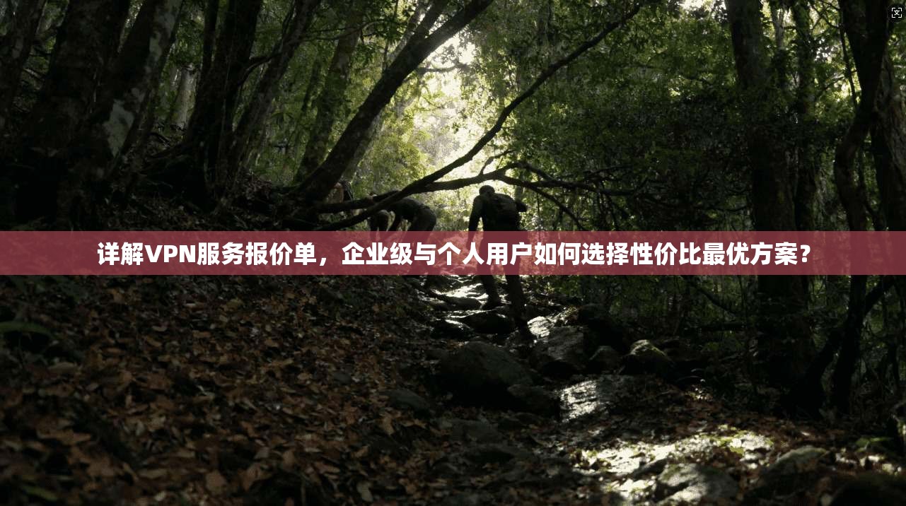 详解VPN服务报价单，企业级与个人用户如何选择性价比最优方案？