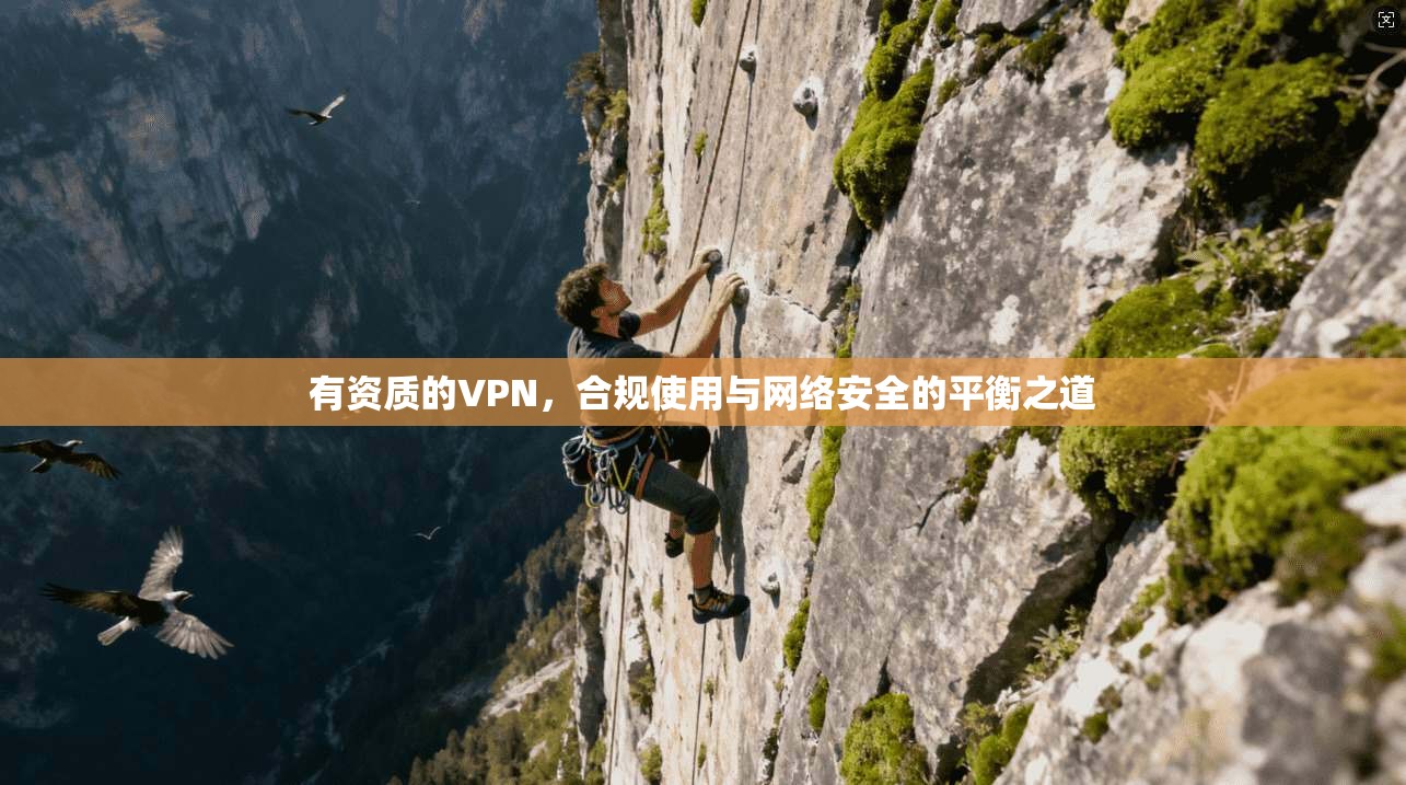 有资质的VPN，合规使用与网络安全的平衡之道