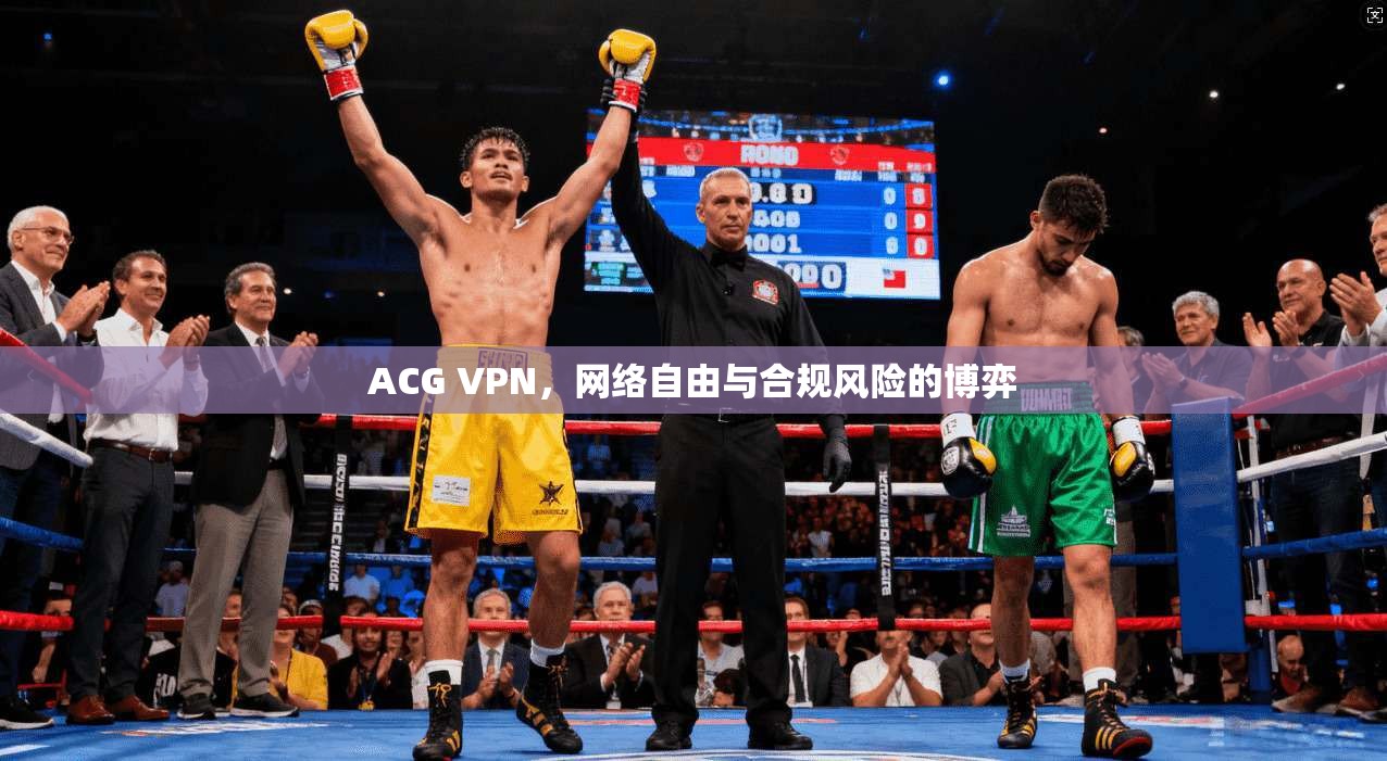 ACG VPN，网络自由与合规风险的博弈