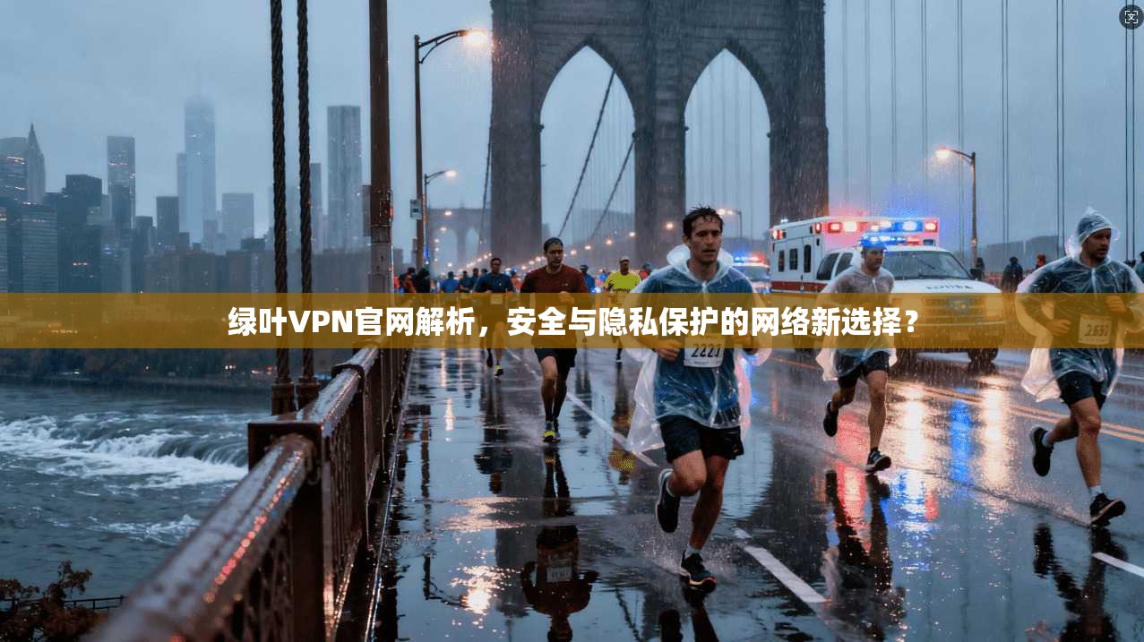 绿叶VPN官网解析，安全与隐私保护的网络新选择？