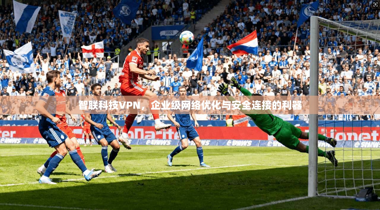 智联科技VPN,企业级网络优化与安全连接的利器