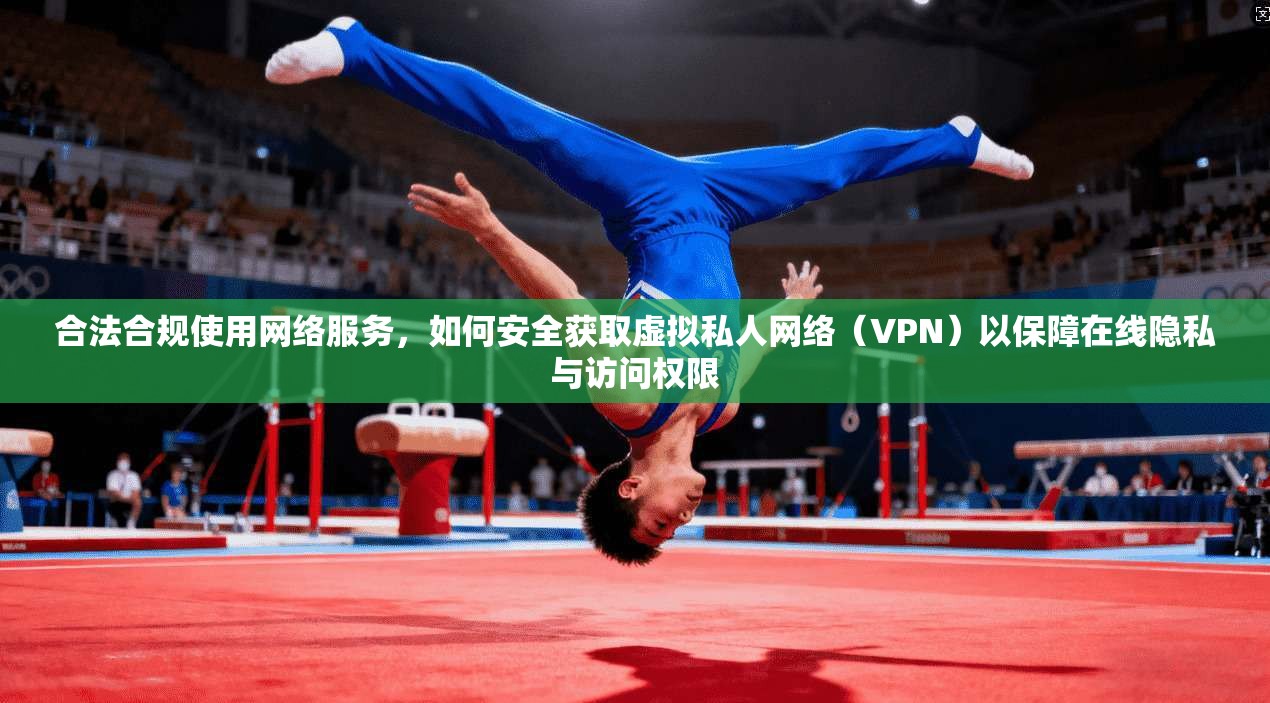 合法合规使用网络服务，如何安全获取虚拟私人网络（VPN）以保障在线隐私与访问权限