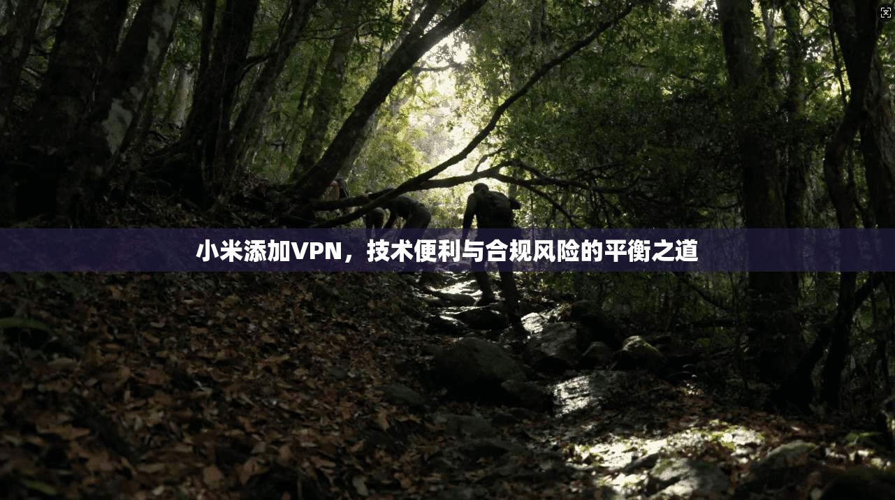 小米添加VPN，技术便利与合规风险的平衡之道
