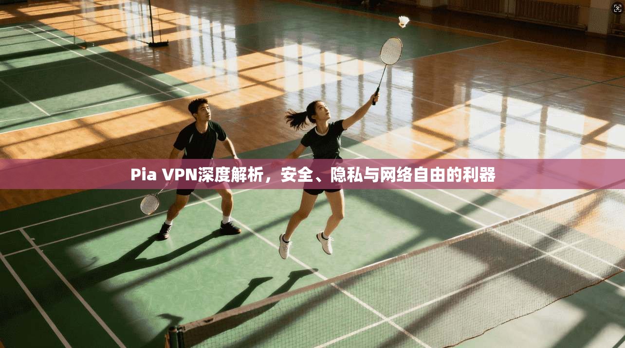 Pia VPN深度解析，安全、隐私与网络自由的利器