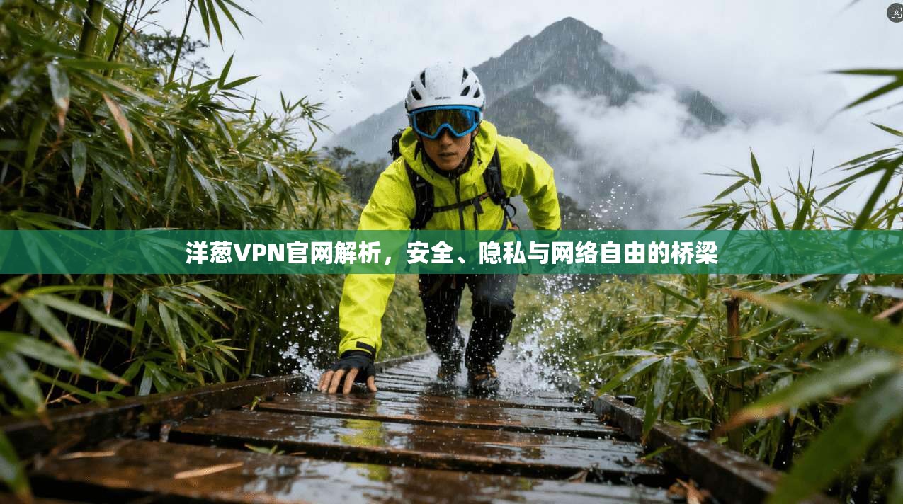 洋葱VPN官网解析，安全、隐私与网络自由的桥梁