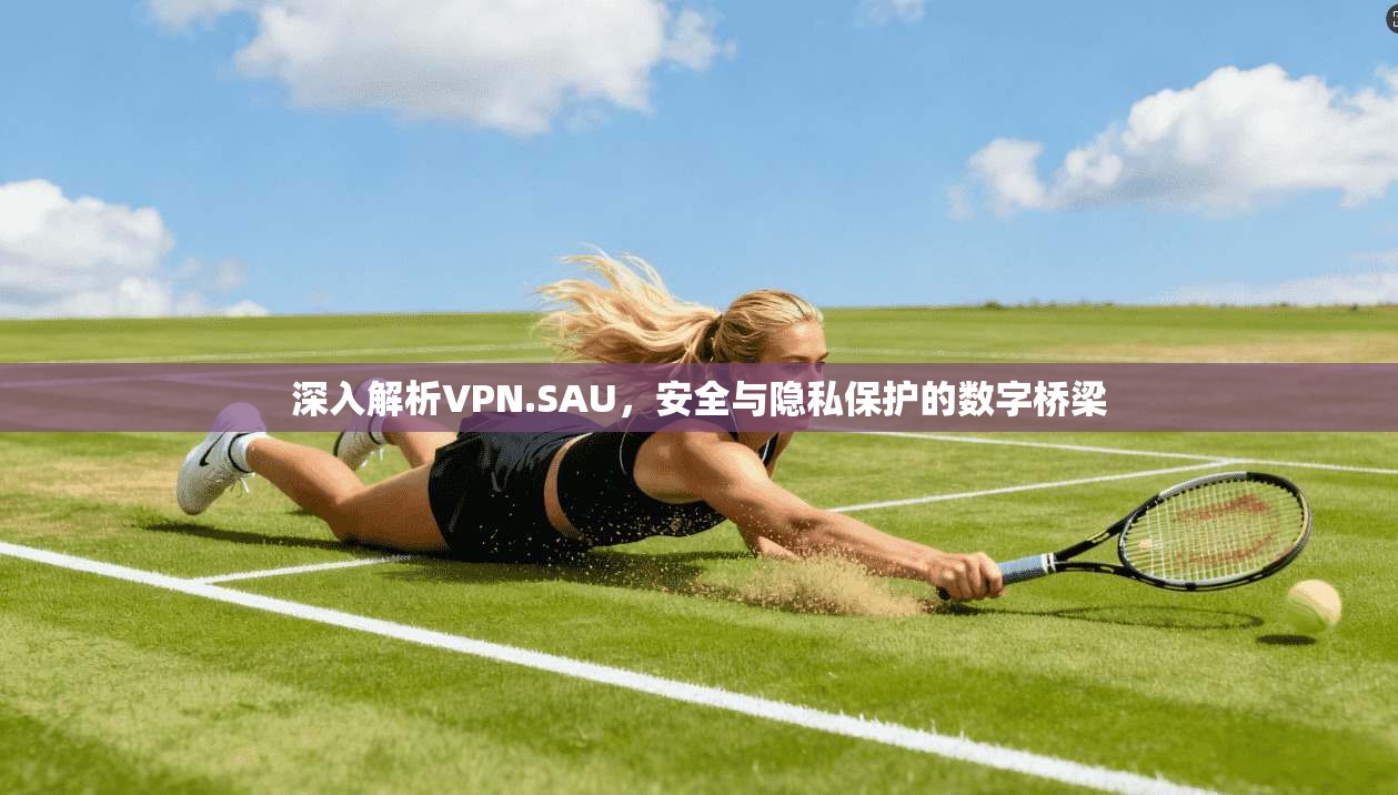 深入解析VPN.SAU，安全与隐私保护的数字桥梁