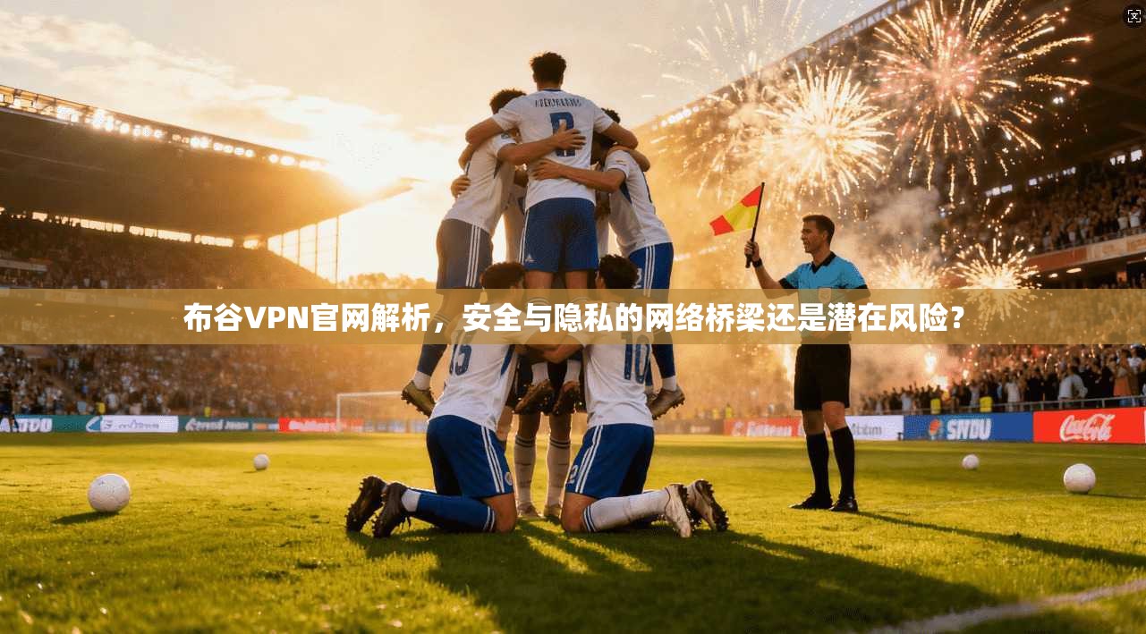布谷VPN官网解析，安全与隐私的网络桥梁还是潜在风险？