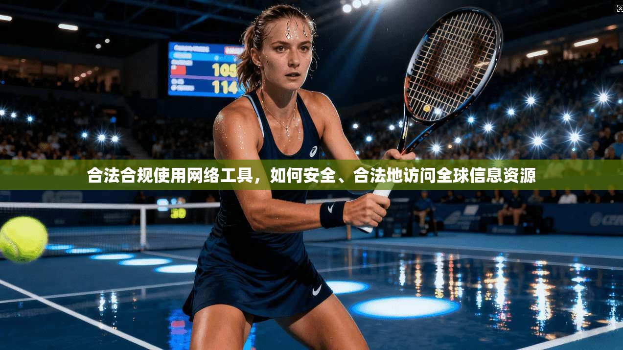 合法合规使用网络工具，如何安全、合法地访问全球信息资源