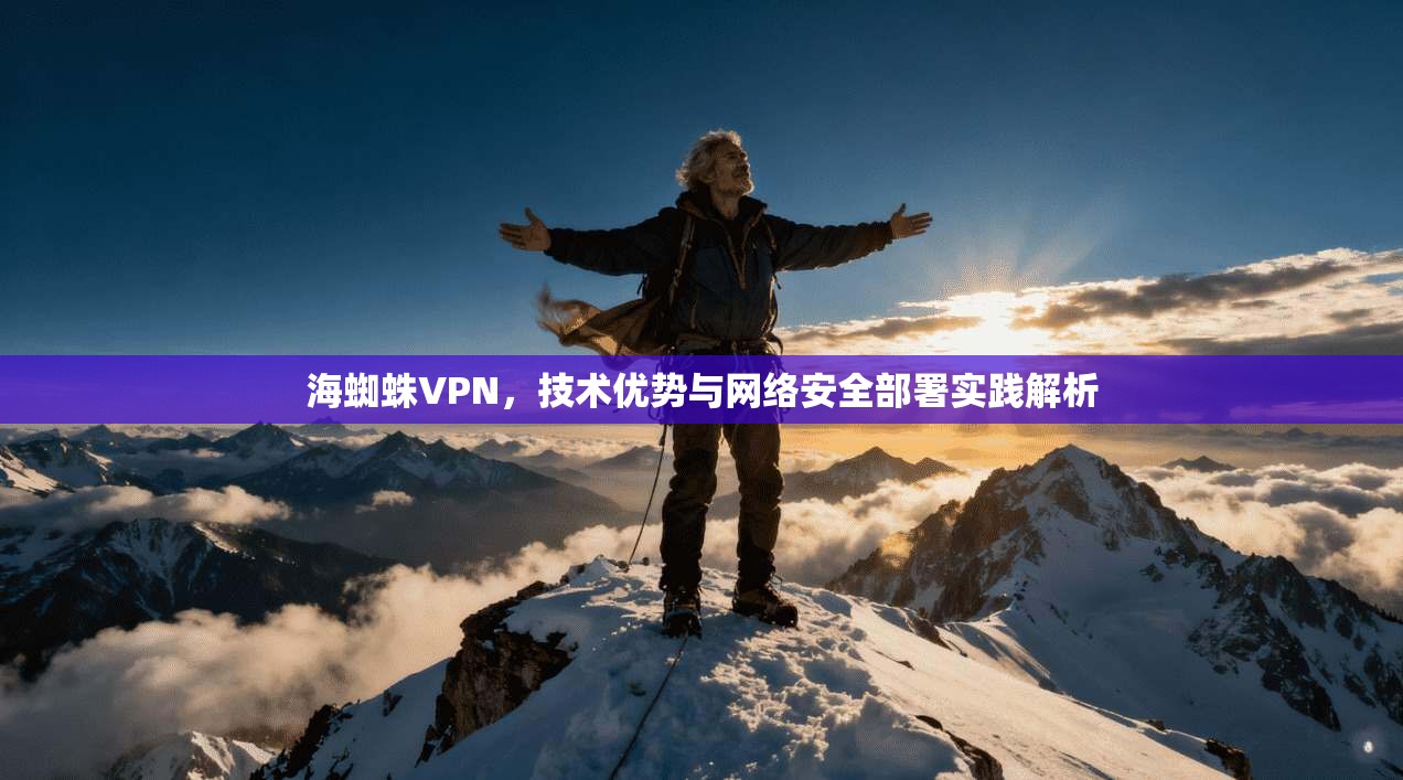 海蜘蛛VPN，技术优势与网络安全部署实践解析