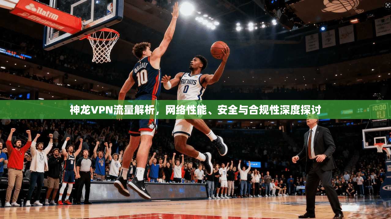 神龙VPN流量解析，网络性能、安全与合规性深度探讨