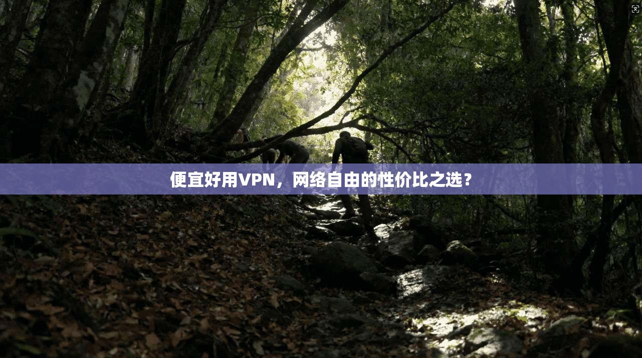 便宜好用VPN，网络自由的性价比之选？