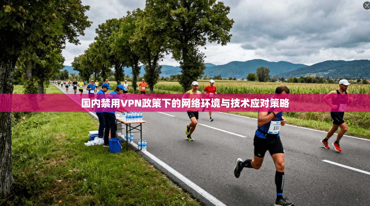 国内禁用VPN政策下的网络环境与技术应对策略