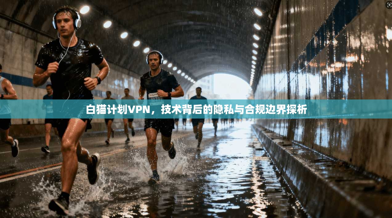 白猫计划VPN，技术背后的隐私与合规边界探析