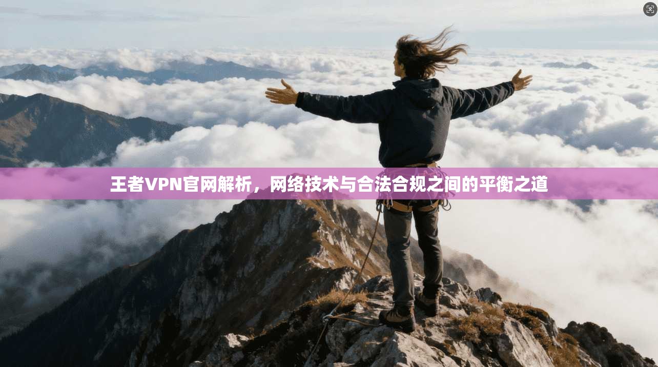 王者VPN官网解析，网络技术与合法合规之间的平衡之道
