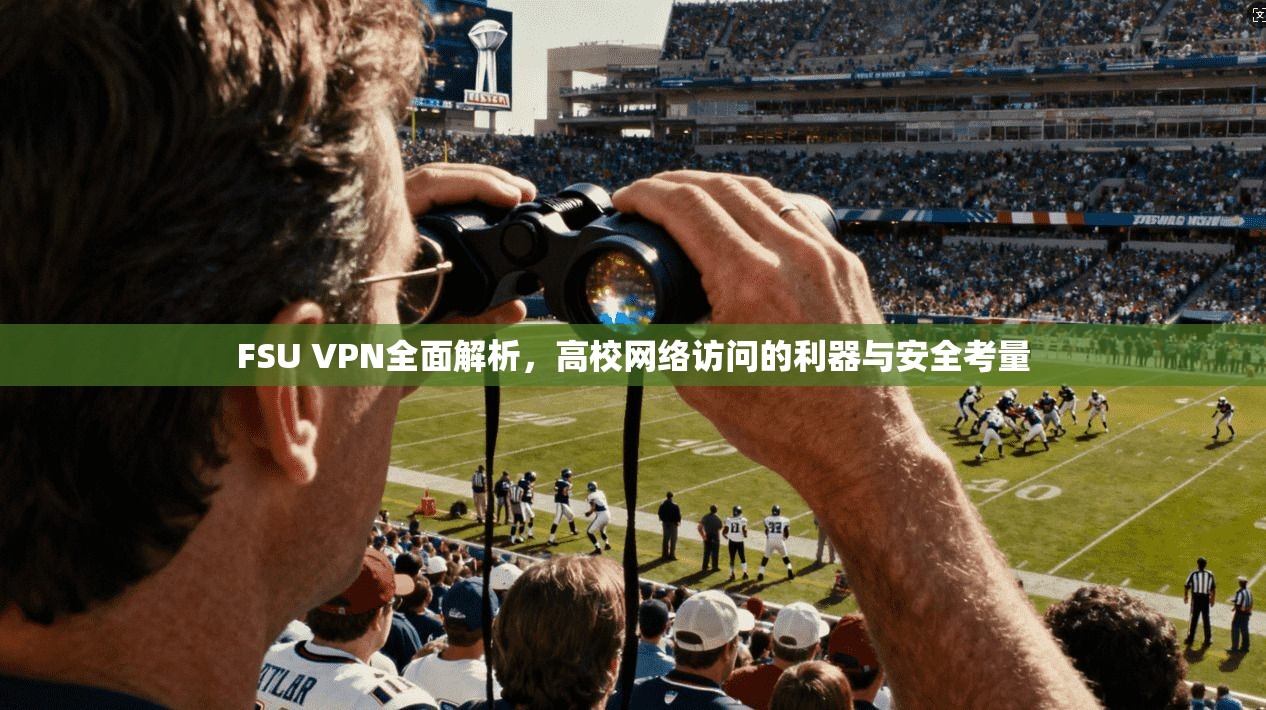 FSU VPN全面解析，高校网络访问的利器与安全考量