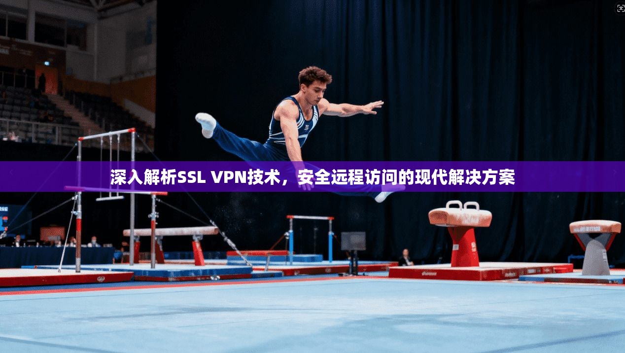 深入解析SSL VPN技术，安全远程访问的现代解决方案