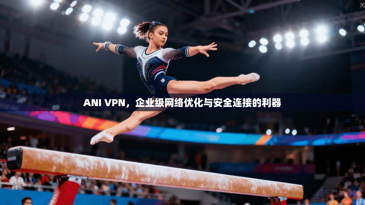 ANI VPN，企业级网络优化与安全连接的利器