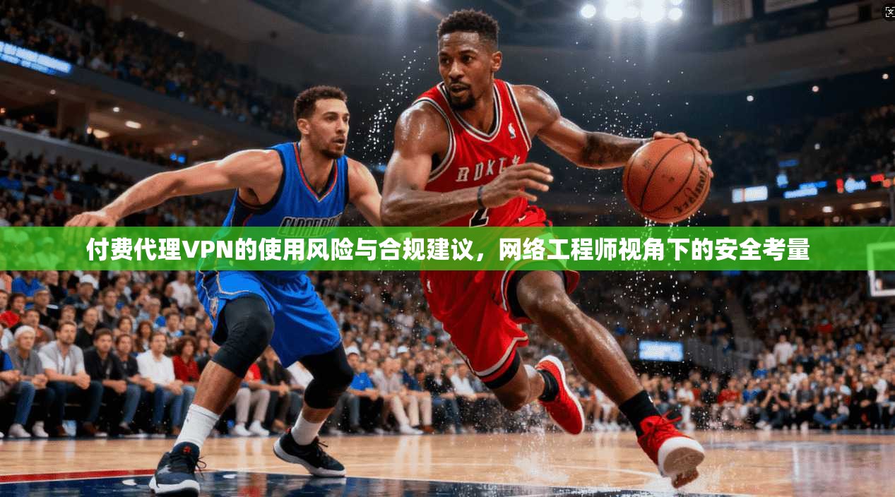 付费代理VPN的使用风险与合规建议，网络工程师视角下的安全考量