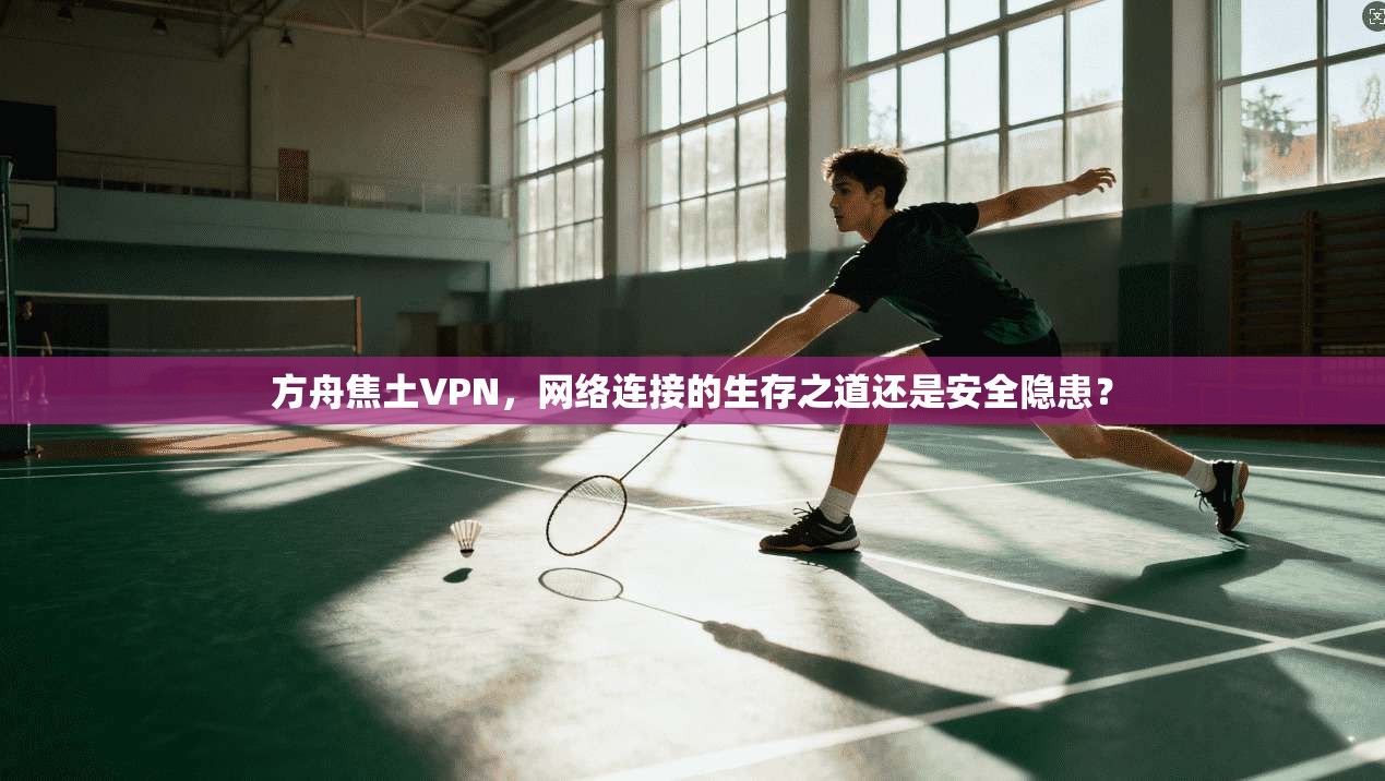 方舟焦土VPN，网络连接的生存之道还是安全隐患？