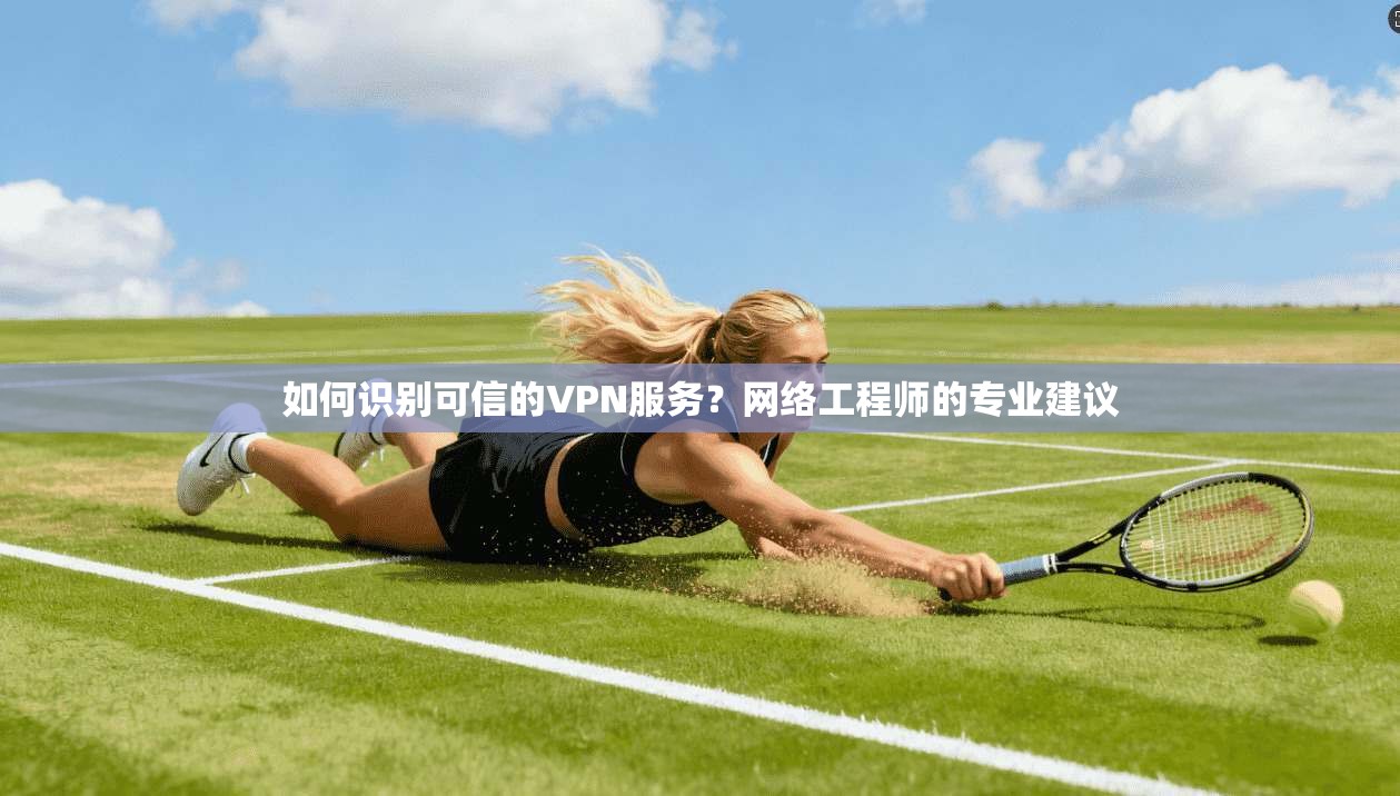 如何识别可信的VPN服务？网络工程师的专业建议