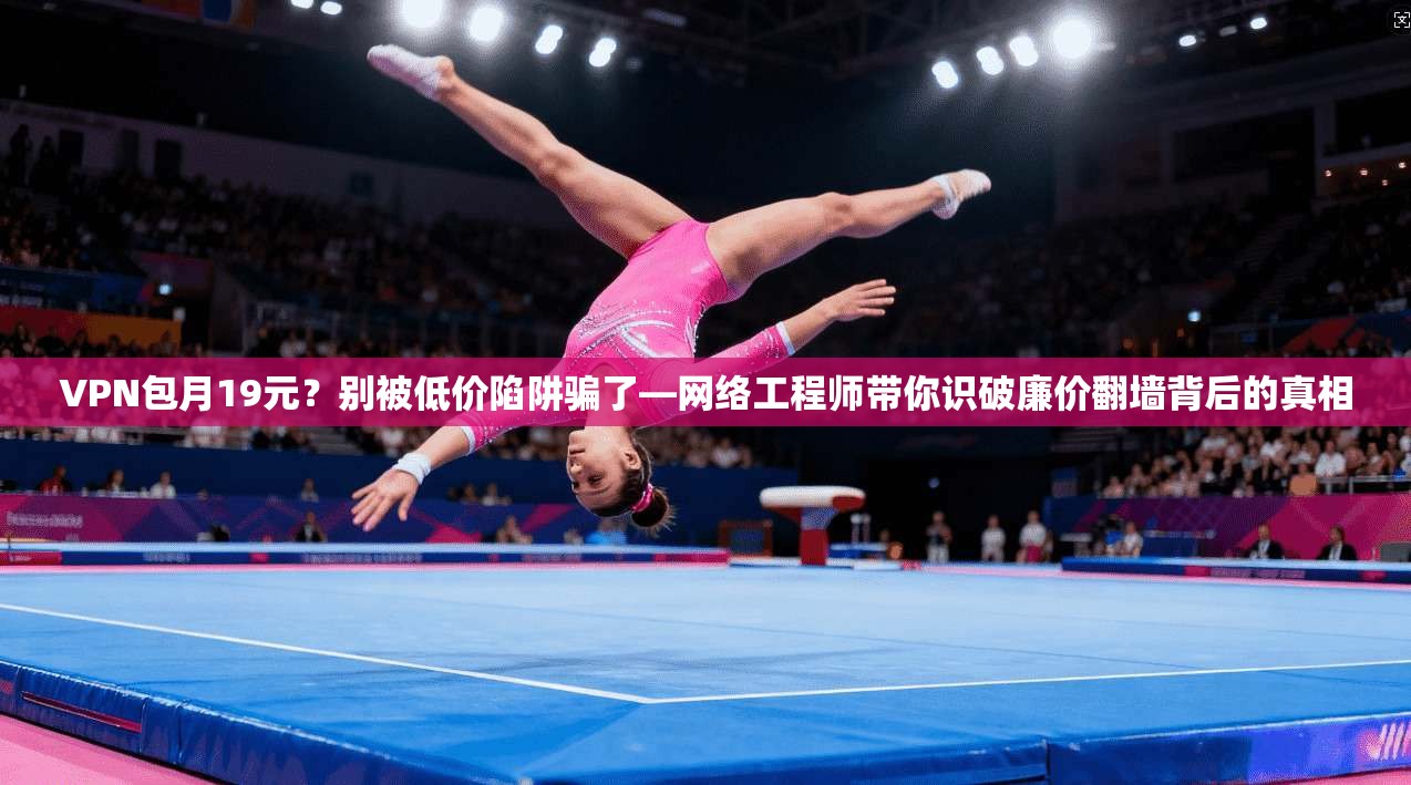 VPN包月19元？别被低价陷阱骗了—网络工程师带你识破廉价翻墙背后的真相