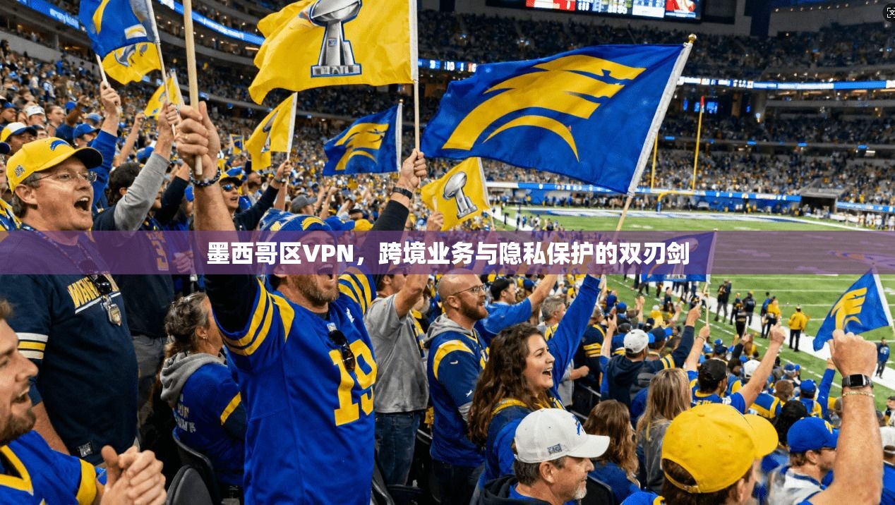 墨西哥区VPN，跨境业务与隐私保护的双刃剑