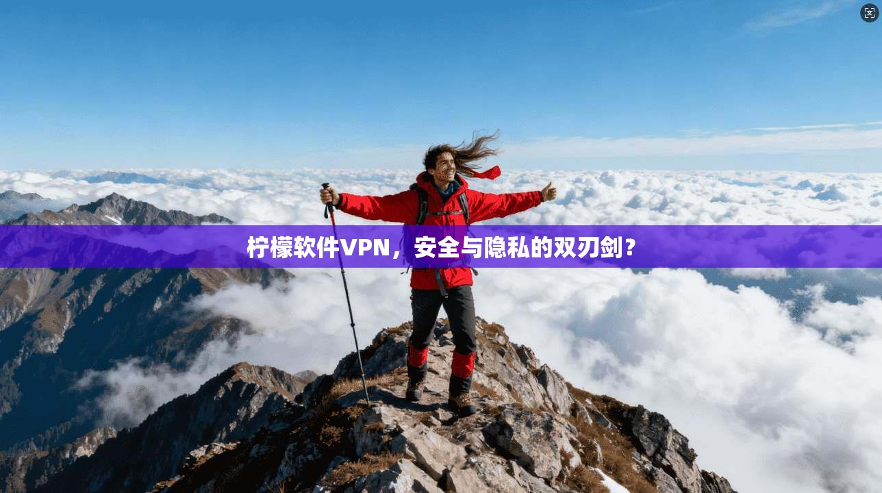 柠檬软件VPN，安全与隐私的双刃剑？