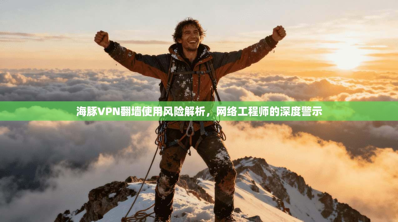 海豚VPN翻墙使用风险解析，网络工程师的深度警示